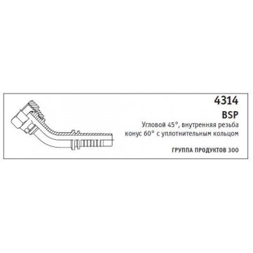 4314 BSP Угловой 45°, внутренняя резьба конус 60° с уплотнительным кольцом