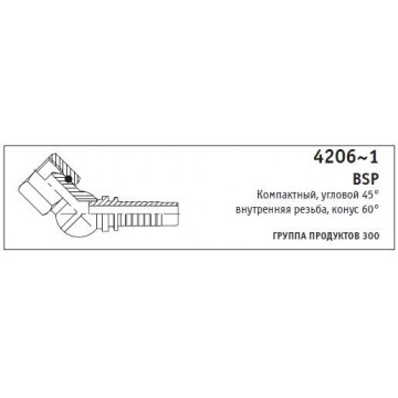 4206~1 BSP Компактный, угловой 45° внутренняя резьба, конус 60°