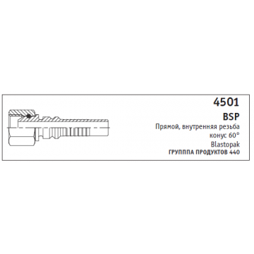 4501 BSP Прямой, внутренняя резьба конус 60° Blastopak