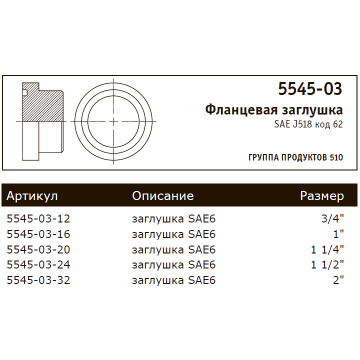 Фланцевая заглушка SAE J518 код 62
